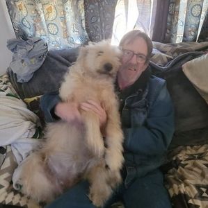 Meet your Posher, Ronald